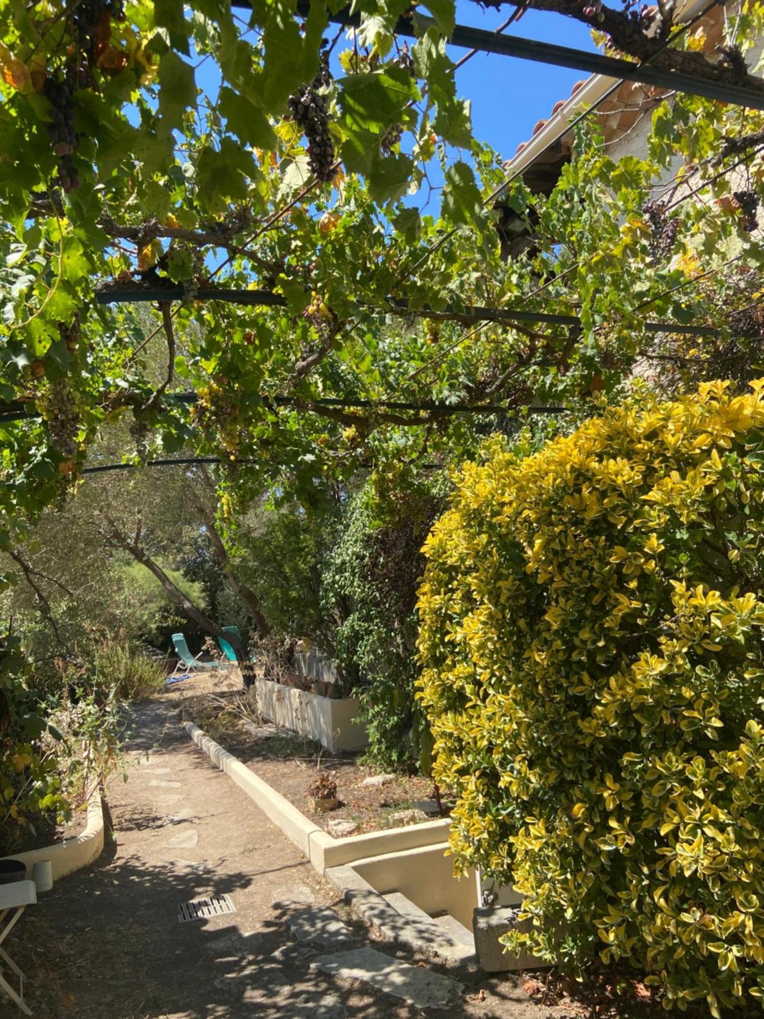 Evasion En Provence Bas De Villa Avec Jardin & Vignes, Soleil & Fraicheur Mirabeau Buitenkant foto